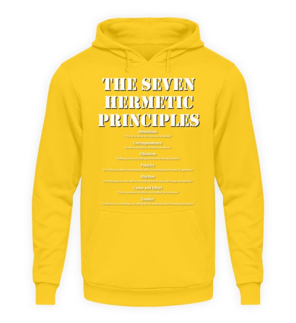 The Seven Hermetic Principles - Unisex Hoodie-1774