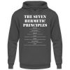 The Seven Hermetic Principles - Unisex Hoodie-1762