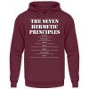 The Seven Hermetic Principles - Unisex Hoodie-839
