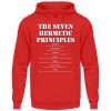The Seven Hermetic Principles - Unisex Hoodie-1565