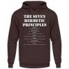 The Seven Hermetic Principles - Unisex Hoodie-1604