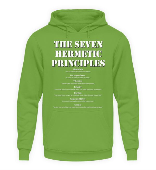 The Seven Hermetic Principles - Unisex Hoodie-1646