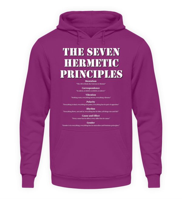 The Seven Hermetic Principles - Unisex Hoodie-1658