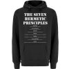 The Seven Hermetic Principles - Unisex Premium Hoodie-16